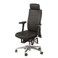 Haider BioSwing 660 iQ Trendline Chair - Black Leather