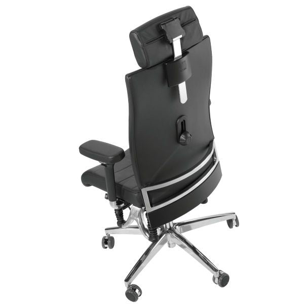Haider BioSwing 660 iQ Trendline Chair - Black Leather