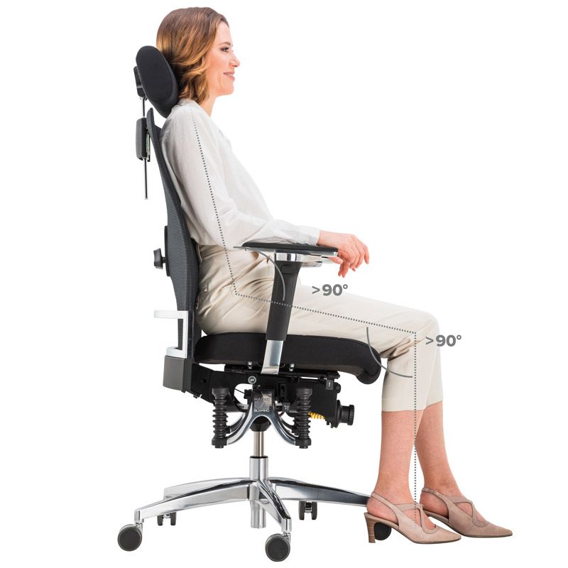 Haider BioSwing 660 iQ Trendline Chair - Black Leather